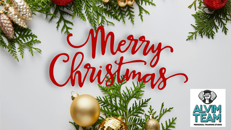 Merry Christmas  –  Alvim Team